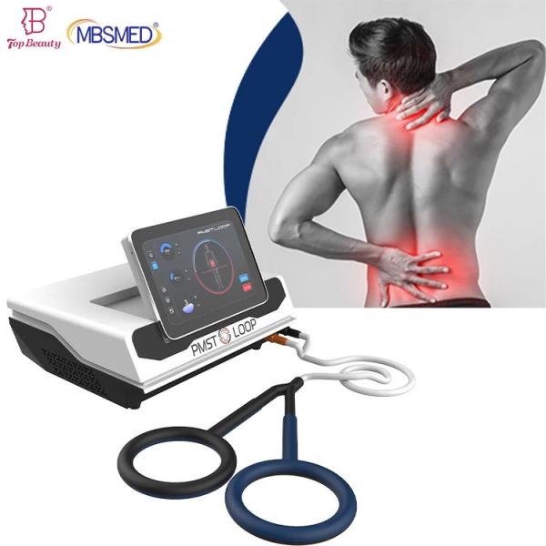 Pulsed Electromagnetic Field Reduce Inflammation Physio Magneto Pemf Magnetic Therapy Device Horse Human