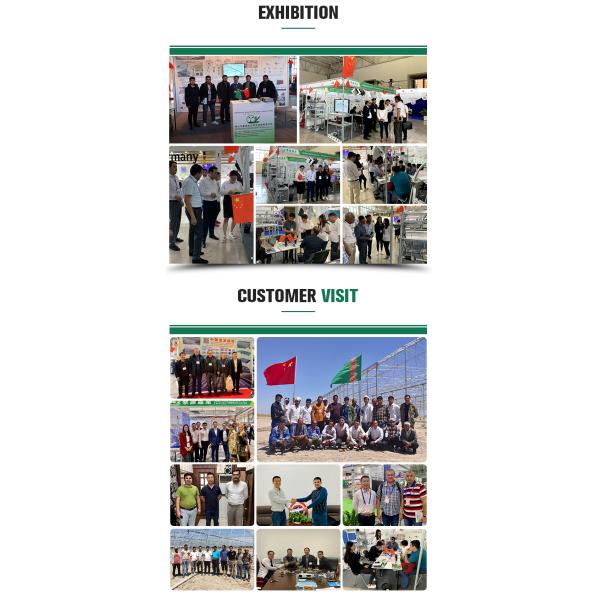 Сельскохозяйственная теплица для выращивания овощей, фруктов и цветов в любое время года