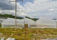 Rustproof Galvanized Greenhouse With Anti-Hail Plastic Film For Harsh Climates