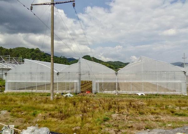 Serre galvanisée résistante à la rouille avec film plastique anti-grêle pour les climats difficiles
