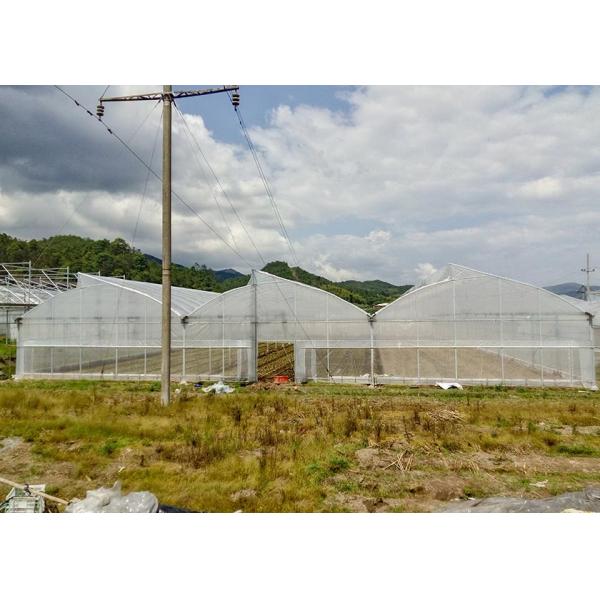 Rustproof Galvanized Greenhouse With Anti-Hail Plastic Film For Harsh Climates