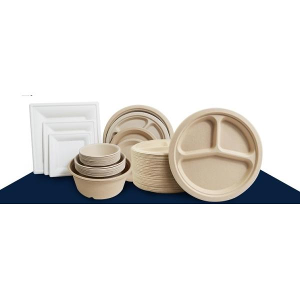 Simple Style 8oz Biodegradable Bamboo Fiber Disposable Cup for Cold or Hot Drinking