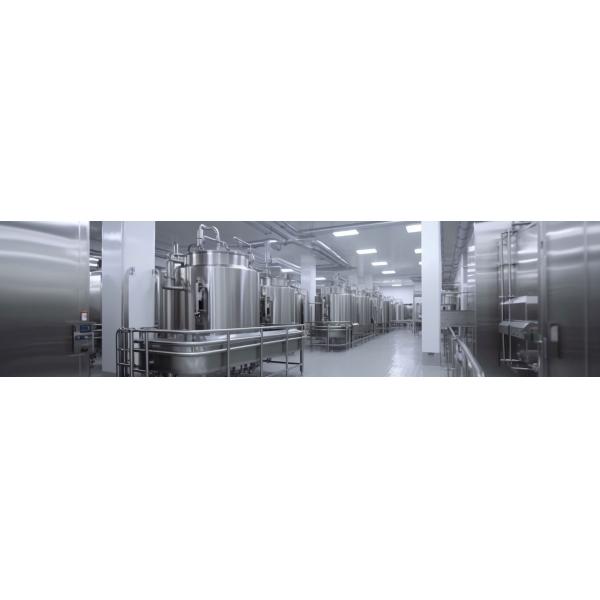 SS316L Санитарная овальная внутренняя крышка отвода из нержавеющей стали для сосудов под давлением