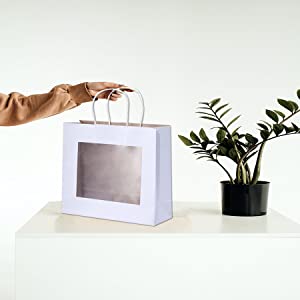 Retail Bag with Rope Handle, Metallizing, Business Bags, Craft Bags, Party Bags, Recyclable Bags