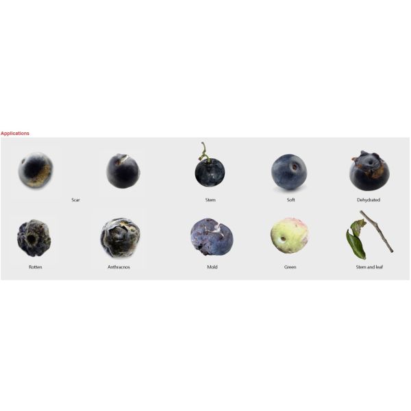 Demeter AI Grading Machine 360° Precise Blueberry Sorting Machine