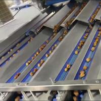 Machine de tri de dates alimentée par l'IA avec système intelligent de statistiques de données Démarrage intelligent à grande vitesse en un clic pour des performances stables et à haut rendement