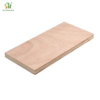 500 kg/m3 à 650 kg/m3 Carreaux d'eucalyptus en contreplaqué