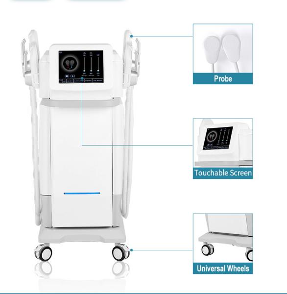 EMS High Frequency Fat Reduction Machine , 110V 220V Hi EMT Machine