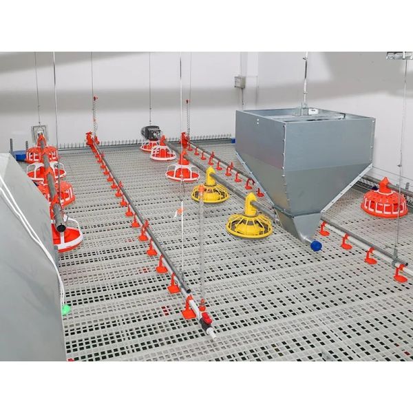 Customized Corrosion Resistant Poultry Farm Ventilation System with Hot-Dip Galvanized Steel and Easy Assembly