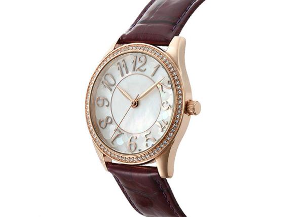 5ATM Ladies 304L Stainless Steel  Watches Miyota Movement Quartz Type