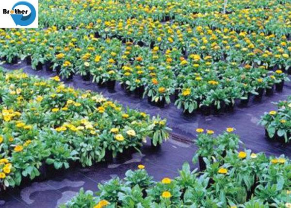 PP/PE Ground Cover Weed Control Barrier Mat, Woven Weed Cloth Weed Fabric New Material or Reycled Material, Geotextile