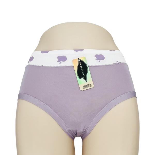 Inner Wears for Ladies Multi-Colors Underwear for Lady Wholesale Polyester Panties Briefs Women