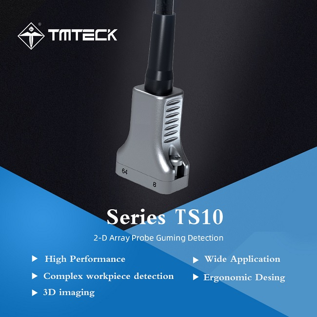 TS10 2D Matrix Array Probe