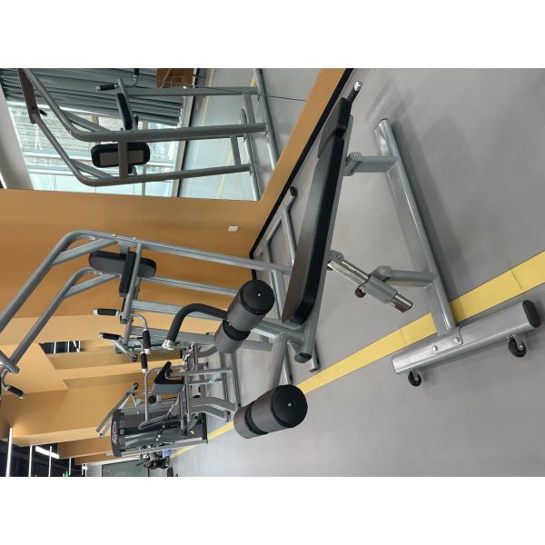 Freeman Commercial Gym Fitness Equipment Adjustable Decline/Abdominal Crunch