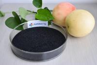 65% Acide humique Utilisation agricole Granulaire Potassium humate engrais organique