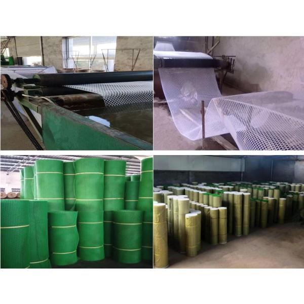 сад 100mm пластиковый ловя сетью равнину Hdpe шестиугольного отверстия белую прессованную