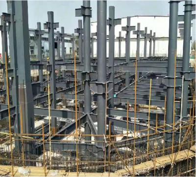 Customization Steel Building Gymnasium Quick Construction High Strength