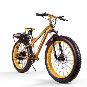 Big Fat Tire Electric Bike Mountain 1000 Watt Rear Carrier Lithium Battery 17Ah