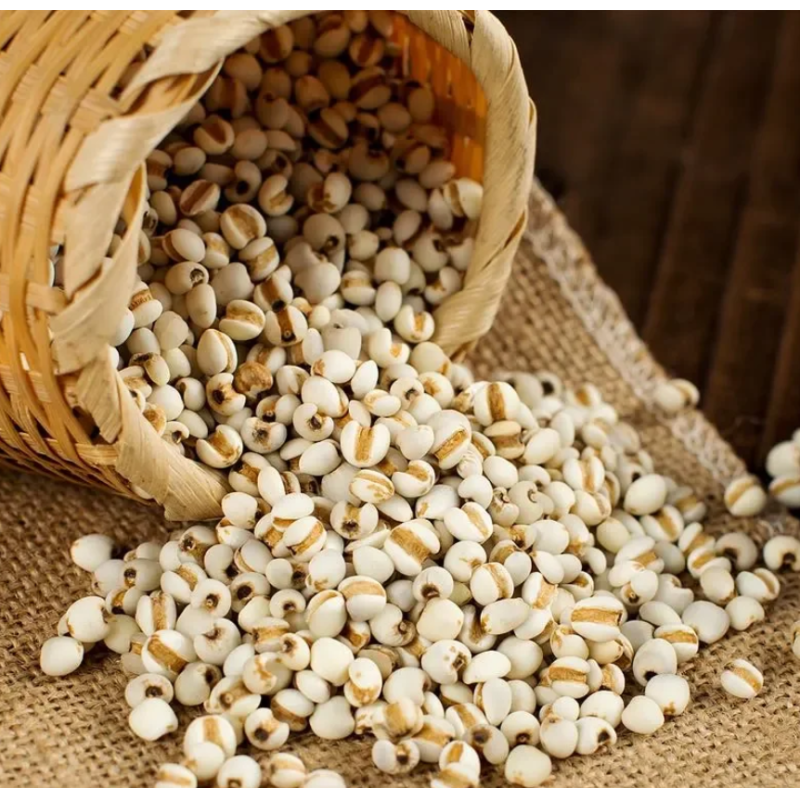 Natural Dried Shelled Coix Seed Job's Tears for Diuresis, Spleen Health, and Rheumatism Relief
