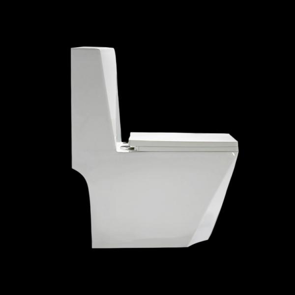 Двойной полный пол - установил Wc с Washdown формы диаманта ловушки p