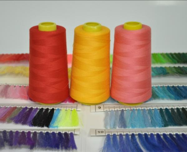 Fios de costura de poliéster de 100% de espinha de núcleo multicolorido 40/2 3000Y 4000Y 5000Y