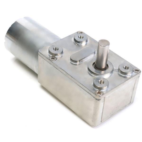 Faradyi High Quality 370 Worm Gear High Torque 66rpm DC Gear Motor 12V 24V Electric with RS370 DC Motor