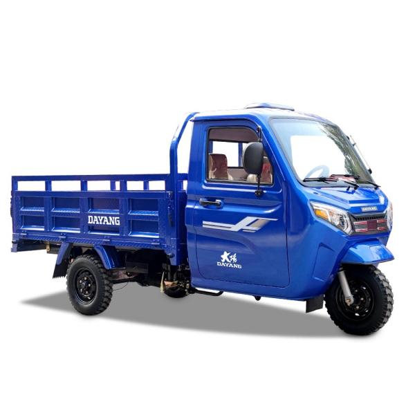 1000W Single Cyclinder 4 Stroke Motorized Tricycles for Pice de Moto Bajah Motorized
