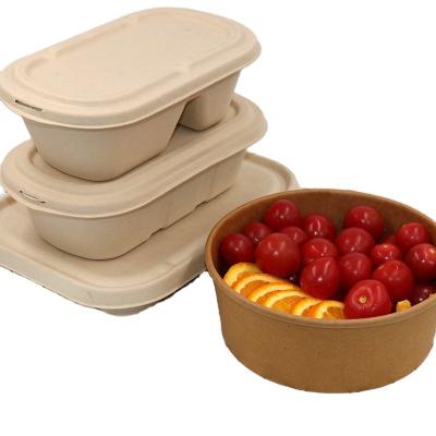 Recipiente de alimento descartável Compostable das caixas afastadas biodegradáveis do empacotamento de alimento de Eco