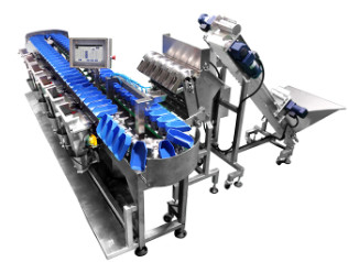 машина упаковки замороженных продуктов 300g 300pcs/Min сильно умная