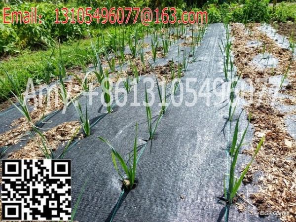 woven geotextile Plastic Modling Type Mulch plastic film for agriculture weed barrier