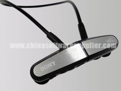 Leitor de mp3 da tela de OLED para o leitor de mp3 da versão do OEM NWZ-W202W252