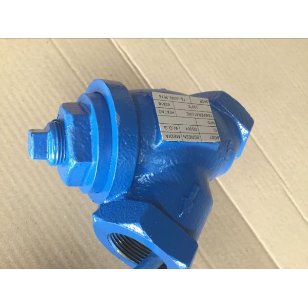 ANSI y strainer threaded ends