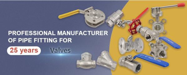 Cast Iron 2 CF8M NPT Thread Ball Valve 800wog With Hand Lever