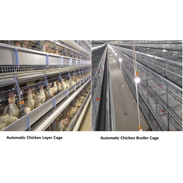 бройлер клетки 3-4Layers птицы 108-144Birds поднимая оборудование