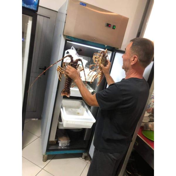 Stainless Steel Vertical Small Size Large Capacity Refrigerator Freezer Commercial Home Refrigeration Facilities