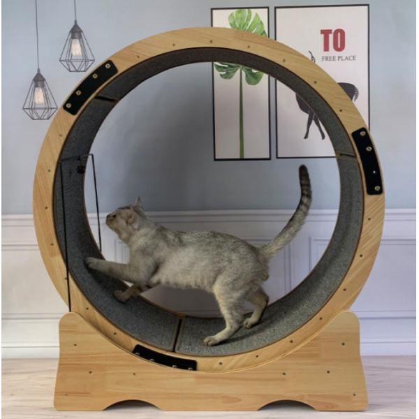 Cat Climbing Frame Fiberboard Cat Wheel Treadmill Silent Exercise Running Toy for Cats
