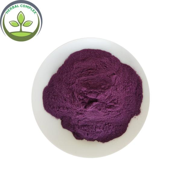 blueberry extract anthocyanins powder buy best bilberry anthocyanins health benefits supplement products uses for antiox