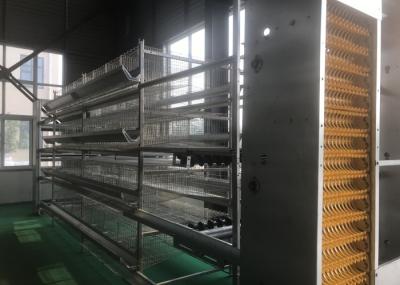 Energy Saving Chicken Farm Machinery With Feed Trough 15-20 Years Lifespan
