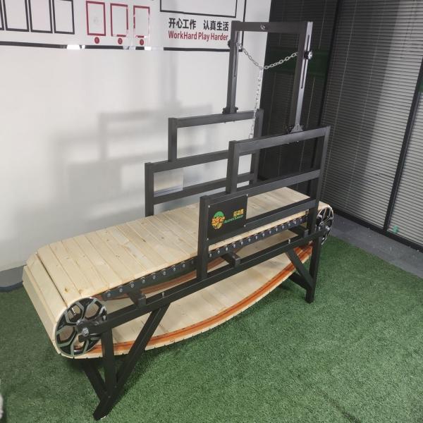 Customized Logo Pet Treadmill Sustainable Dog Treadmill for Training Slat Treadmill