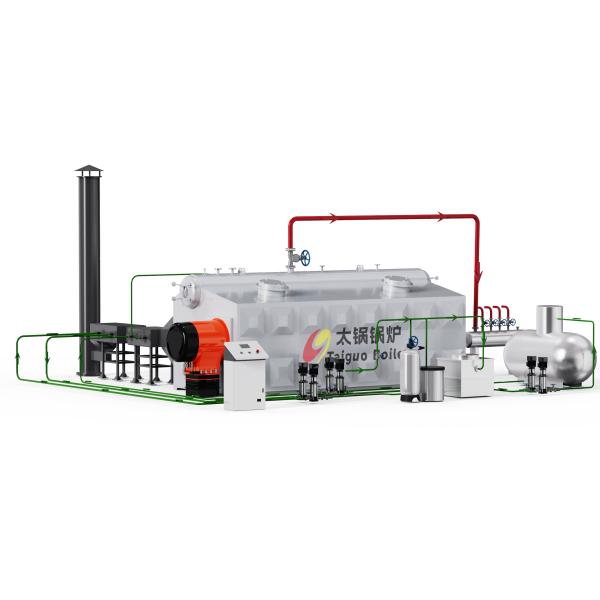 Customizationszl Gas Fired Chain Grate Boiler Double-Drum