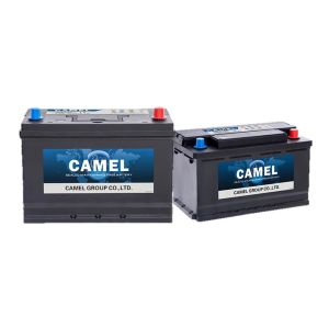 Lead Acid Starter Battery