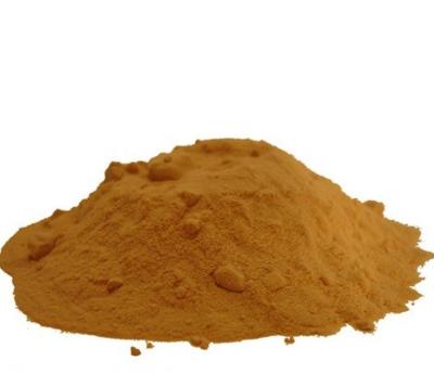 Additif alimentaire en poudre de sauce de soja déshydratée en vrac pour assaisonnement OEM