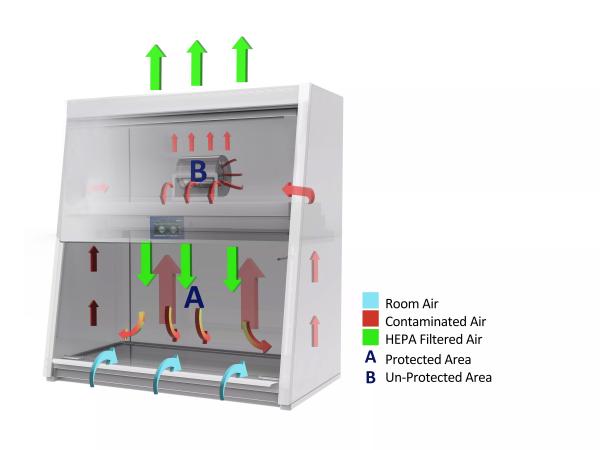 Cabina de seguridad biológica Clase II A2 con 780 mm de profundidad