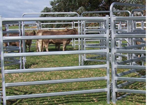 No Sharp Edge Safety Horse Corral Panels , Horse Gate Panels For Outdoor