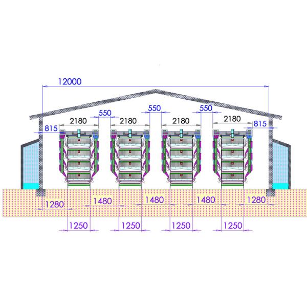 Тип ярусы h яйца 10 цыпленка клетки цыпленка слоя триперсток