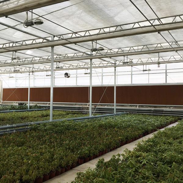Customizable Top Ventilation Side Ventilation Greenhouse Polycarbonate for Vegetable