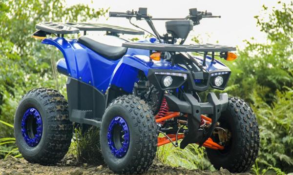 Juventude elétrica do começo que compete a embreagem automática 125cc de ATV para o adulto somente