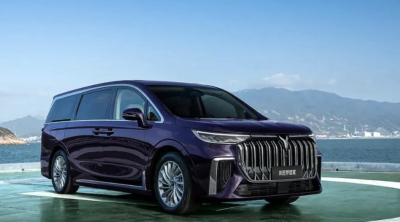 30kW Luxury EV Car Carbon Version VOYAH Dreamer MPV Sete lugares