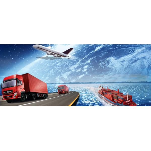 Пересылка моря Китая Лкл Фкл воздуха в международный морской контейнер ДДУ Доминики