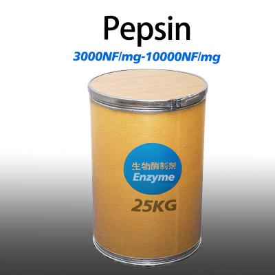 Poudre de pepsine porcine jaune clair 10000NF/Mg Préparation d'enzyme fournisseur